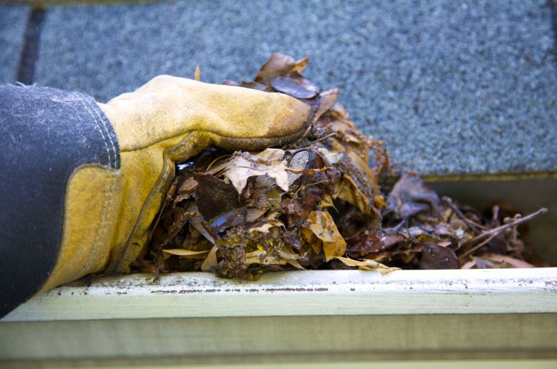 Gutter Leaf Clearing in Morris County, NJ