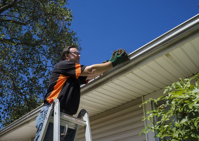 Gutter Leaf Clearing in Annapolis, MD