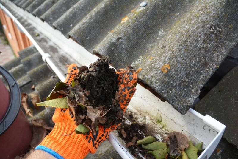 Gutter Leaves Removal in Bergen County, NJ