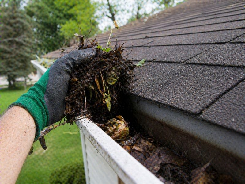 Gutter Pine Needle Removal in Rochester, NY