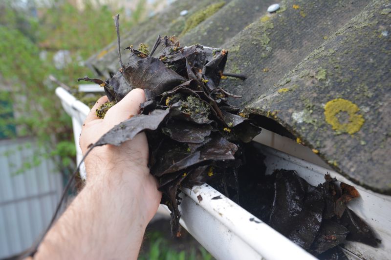 Rain Gutter Clearing in Frederick, MD